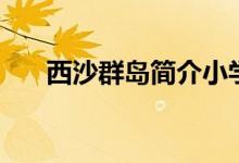 西沙群島簡(jiǎn)介小學(xué)生（西沙群島簡(jiǎn)介）