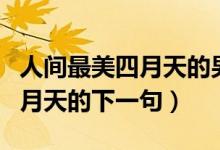 人間最美四月天的男女微信對話（人間最美四月天的下一句）