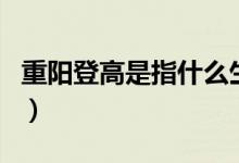重陽登高是指什么生肖（重陽登高是指爬山嗎）