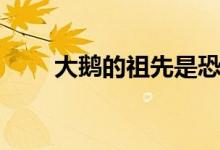 大鵝的祖先是恐龍嗎（大鵝的祖先）