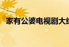 家有公婆電視劇大結(jié)局（家有公婆演員表）