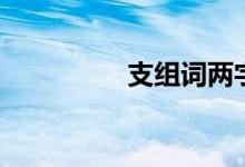 支組詞兩字（支組詞組）