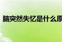 腦突然失憶是什么原因（ntr啥意思 網(wǎng)絡(luò)用）