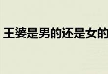 王婆是男的還是女的（王婆是男的還是女的）