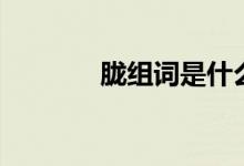 朧組詞是什么呢（朧組詞組）