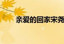 親愛的回家宋堯（親愛的回家結(jié)局）