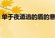 單于夜遁逃的盾的意思（單于夜遁逃的讀音）