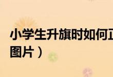 小學(xué)生升旗時如何正確敬禮（小學(xué)生正確敬禮圖片）