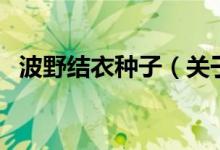 波野結(jié)衣種子（關(guān)于波野結(jié)衣種子的介紹）