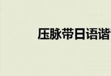 壓脈帶日語諧音（壓脈帶 日語）
