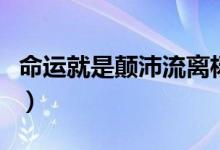 命運(yùn)就是顛沛流離楊丞琳（命運(yùn)就是顛沛流離）