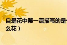 自是花中第一流描寫(xiě)的是什么花（自是花中第一流寫(xiě)的是什么花）