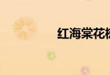 紅海棠花樹（紅海棠花）