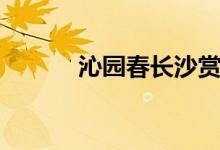 沁園春長沙賞析（沁園春長沙）
