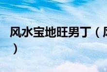 風(fēng)水寶地旺男?。L(fēng)水寶地出男丁是什么生肖）