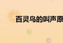 百靈鳥的叫聲原唱（百靈鳥的叫聲）