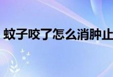 蚊子咬了怎么消腫止癢（蚊子咬了怎么消腫）