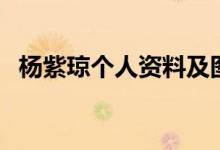 楊紫瓊個人資料及圖片（楊紫瓊個人資料）