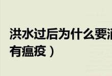 洪水過后為什么要消毒防疫（洪水過后為什么有瘟疫）