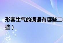 形容生氣的詞語(yǔ)有哪些二年級(jí)兩個(gè)字（形容生氣的詞語(yǔ)有哪些）