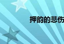 押韻的悲傷（押韻的網名）