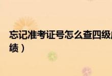 忘記準考證號怎么查四級成績（忘記準考證號怎么查四級成績）