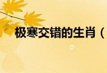極寒交錯(cuò)的生肖（極寒交錯(cuò)是什么生肖）