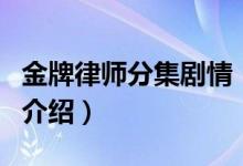 金牌律師分集劇情（關(guān)于金牌律師分集劇情的介紹）