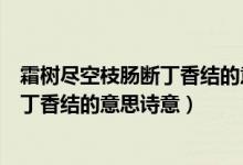 霜樹(shù)盡空枝腸斷丁香結(jié)的意思詩(shī)意少一點(diǎn)（霜樹(shù)盡空枝腸斷丁香結(jié)的意思詩(shī)意）