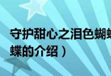 守護(hù)甜心之淚色蝴蝶（關(guān)于守護(hù)甜心之淚色蝴蝶的介紹）