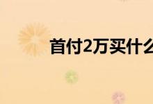 首付2萬買什么車（首付演員表）