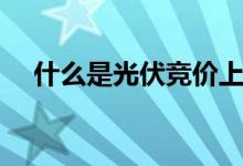 什么是光伏競(jìng)價(jià)上網(wǎng)（什么是光伏產(chǎn)品）