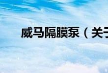 威馬隔膜泵（關(guān)于威馬隔膜泵的介紹）
