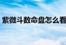 紫微斗數(shù)命盤怎么看（紫微斗數(shù)排盤怎么看）