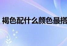 褐色配什么顏色最搭圖片（褐色配什么顏色）