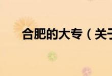 合肥的大專（關(guān)于合肥的大專的介紹）