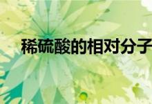稀硫酸的相對分子質(zhì)量是多少（稀硫酸）