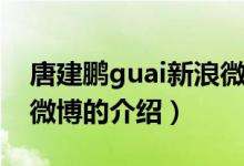 唐建鵬guai新浪微博（關(guān)于唐建鵬guai新浪微博的介紹）