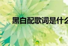 黑白配歌詞是什么意思（黑白配 歌詞）