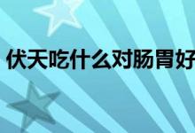 伏天吃什么對腸胃好（伏天吃什么對身體好）