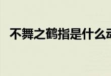 不舞之鶴指是什么動(dòng)物（不舞之鶴的寓意）