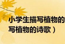 小學(xué)生描寫植物的詩歌簡短10句（小學(xué)生描寫植物的詩歌）