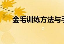 金毛訓(xùn)練方法與手勢(shì)（金毛訓(xùn)練方法）