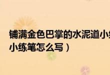 鋪滿金色巴掌的水泥道小練筆仿寫（鋪滿金色巴掌的水泥道小練筆怎么寫）