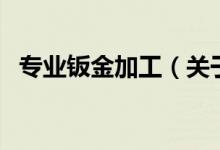 專業(yè)鈑金加工（關(guān)于專業(yè)鈑金加工的介紹）