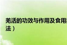 羌活的功效與作用及食用禁忌（羌活的功效與作用及食用方法）