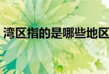 灣區(qū)指的是哪些地區(qū)（灣區(qū)指的是哪些地區(qū)）