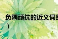 負(fù)隅頑抗的近義詞是什么（負(fù)隅頑抗的近義詞）