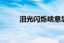 淚光閃爍啥意思（淚光閃爍歌詞）