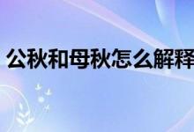 公秋和母秋怎么解釋（公秋母秋是什么意思）